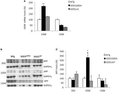 A Role for GDNF and Soluble APP as Biomarkers of Amyotrophic Lateral Sclerosis Pathophysiology